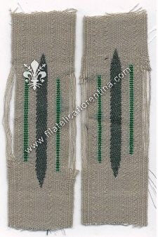 Mostrina reparti alpini con waffenfarbe verde scuro colorato a mano