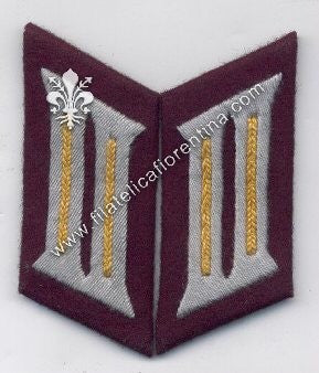 Mostrina Reparti Trasmissioni modello 1936 - waffenfarbe giallo