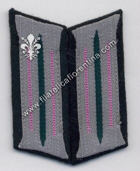 Mostrina Reparti Corazzati modello 1936 - waffenfarbe rosa