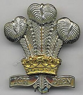 Fregio Royal Wiltshire Yeomanry