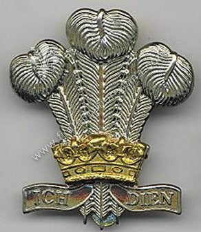 Fregio Royal Wiltshire Yeomanry