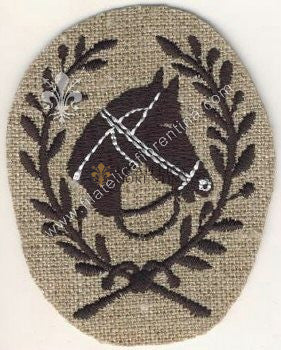 Brevetto specialista Cavaliere