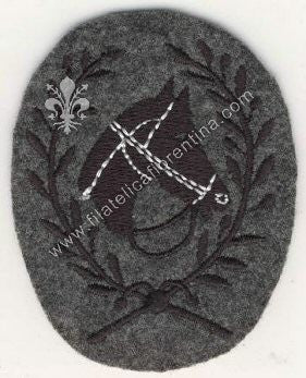 Brevetto specialista Cavaliere