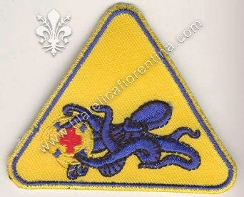 Distintivo Regia Aviazione