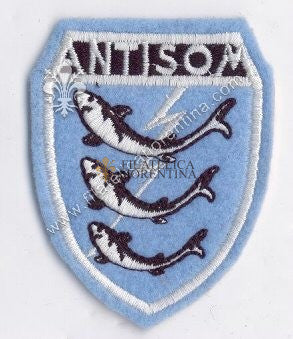 Distintivo dei reparti Antisommergibili - " ANTISOM "