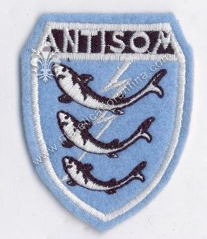 Distintivo dei reparti Antisommergibili - " ANTISOM "