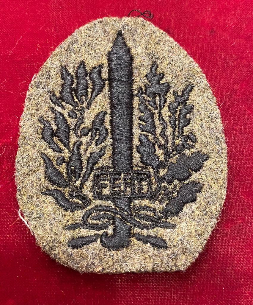 Distintivo da truppa Battaglione Arditi - Su fondo verde grigio