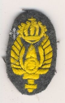 Fregio PARACADUTISTA - Regio Esercito