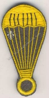 Brevetto truppa da braccio da Paracadutista