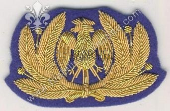 Fregio da berretto dell' Aeronautica Nazionale Repubblicana