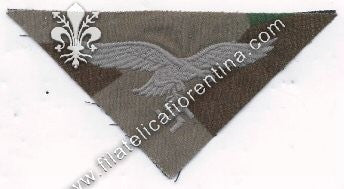 Aquila da truppa in seta triangolare su fondo mimetico