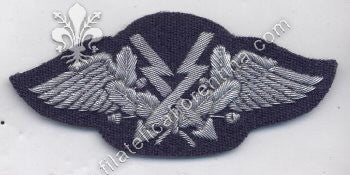 Brevetto da Ufficiale della Luftwaffe - in filo argento grosso