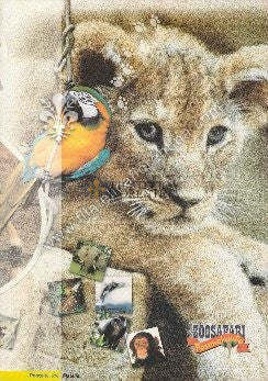 Folder n 62 " Zoo Safari di Fasano " 2003