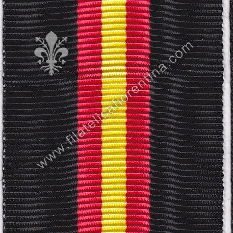 Guerra di Spagna - "Ai Combattenti e  Reduci dalle cittÃ  d'Italia"