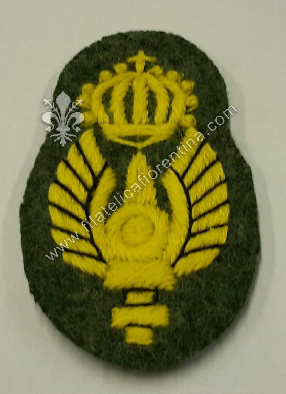 fregio da paracadutista