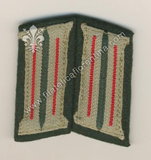 Mostrine reparti Artiglieria - waffenfarbe rosso