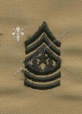 Gradi sergente maggiore comandante - da colletto in nero su sabbia (in coppia)