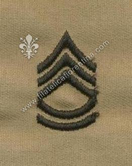 Gradi sergente di 1° classe colletto in nero su sabbia (in coppia)