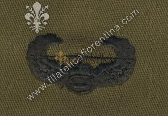 Distintivo in stoffa Air Assault