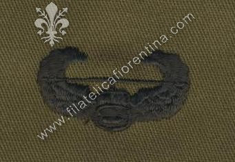 Distintivo in stoffa Air Assault