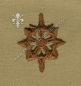 BOS ufficiale - Servizi segreti in stoffa ( desert ) marrone su sabbia