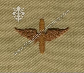 BOS ufficiale aviazione dell'esercito ( desert ) marrone su sabbia