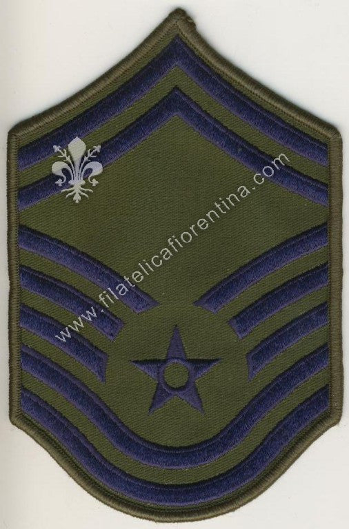 Air Force SENIOR MASTER SERGEANT - Gradi verde su blu