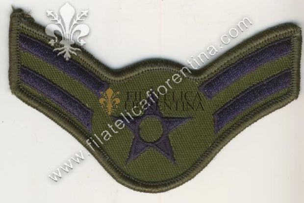 Air Force AIRMAN 1st CLASS - Gradi Airman prima classe blu su verde