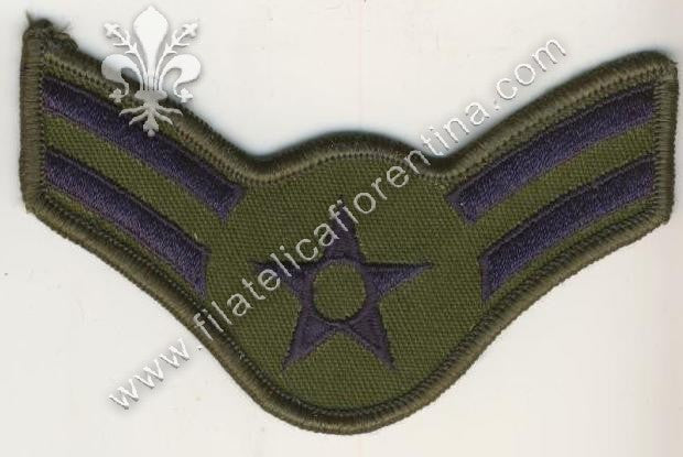 Air Force AIRMAN 1st CLASS - Gradi Airman prima classe blu su verde