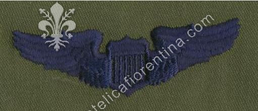 Brevetto basic da pilota