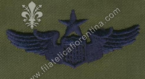 Brevetto da pilota Senior - blu su verde da combattimento