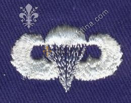 Brevetto da paracadutista Air force - basic blu su bianco