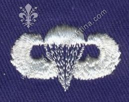 Brevetto da paracadutista Air force - basic blu su bianco