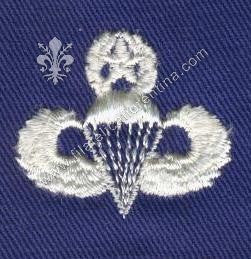 Brevetto paracadutista - Master bianco su blu