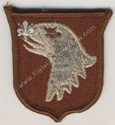 101^ Divisione Screaming Eagle (desert)