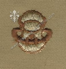 Scuba Driver - desert