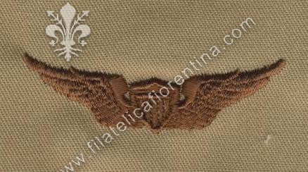 Brevetto basic da pilota - marrone su sabbia desert