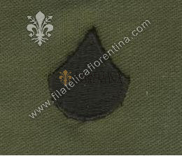 Gradi soldato 1° classe (pieno) nero su verde (coppia)
