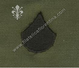 Gradi soldato 1° classe (pieno) nero su verde (coppia)