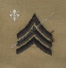 Gradi da sergente colletto  nero su sabbia (coppia)