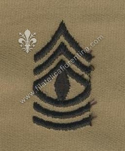 Gradi 1° sergente colletto  nero su sabbia (coppia)