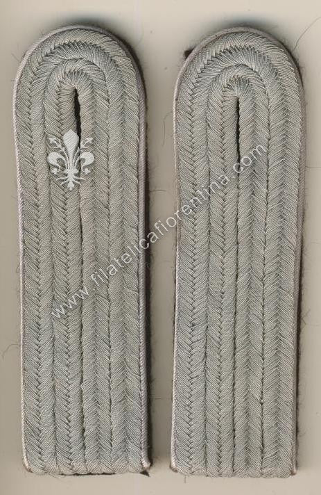 Ufficiale inferiore generale - waffenfarbe argento