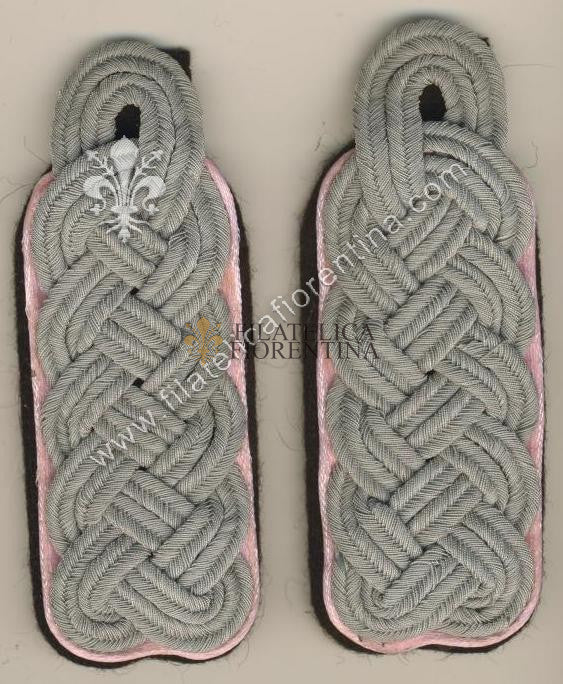Ufficiale superiore Geologist - waffenfarbe rosa chiaro (light pink)