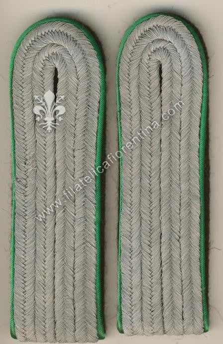 Ufficiale inferiore Mountain Troups - waffenfarbe verde