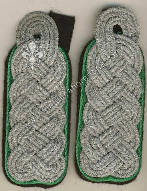 Ufficiale superiore Mountain Troops - waffenfarbe verde