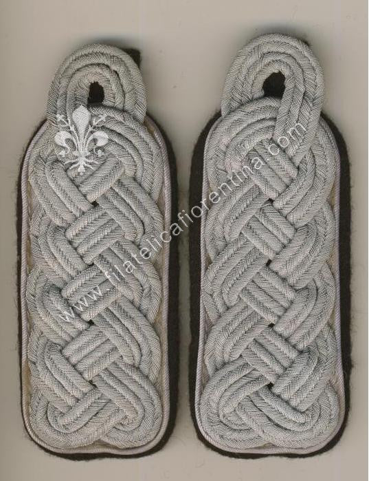 Ufficiale superiore Generale - Waffenfarbe argento grigio
