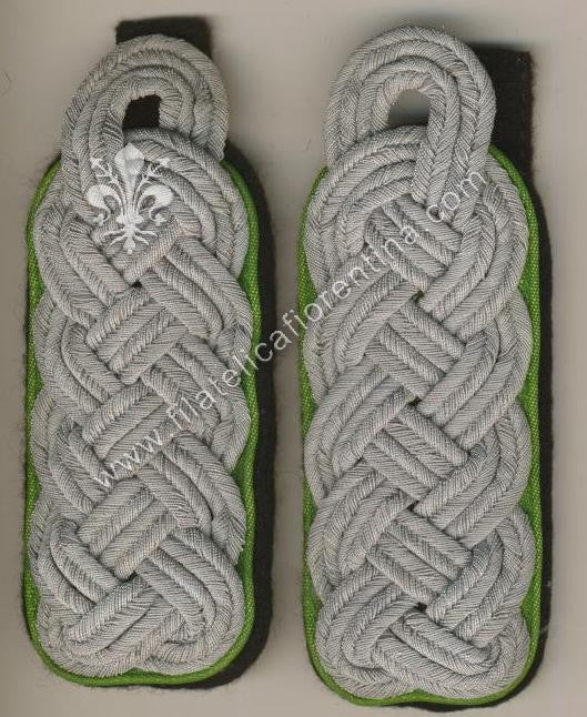 Ufficiale superiore Mountain Troops - Waffenfarbe variante verde