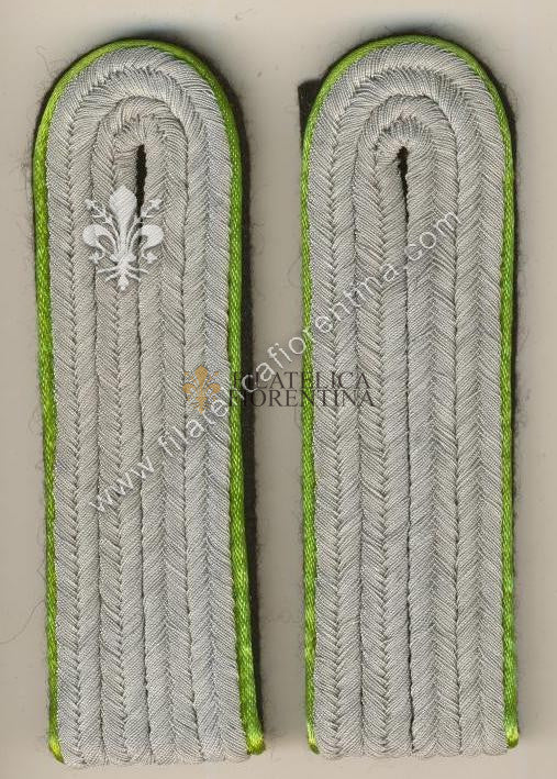 Ufficiale inferiore Mountain Troops/Security - Waffenfarbe variante verde acido