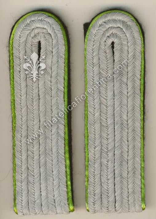 Ufficiale inferiore Mountain Troops/Security - Waffenfarbe variante verde acido