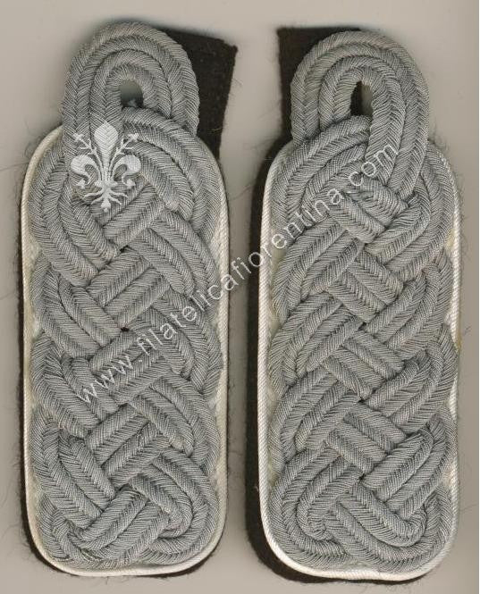 Ufficiale Superiore Fanteria / Infantry - Waffenfarbe bianco